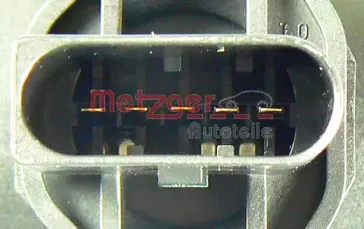 metzger-0891079