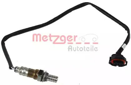 metzger-0893002