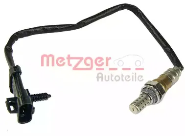 metzger-0893013