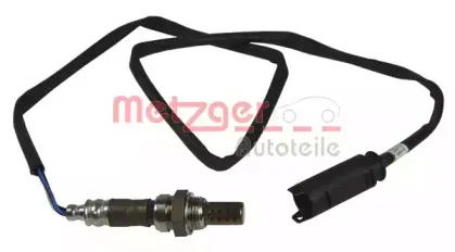 metzger-0893039