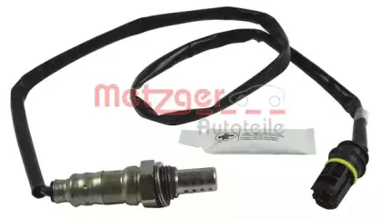metzger-0893076