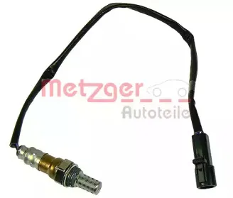 metzger-0893085