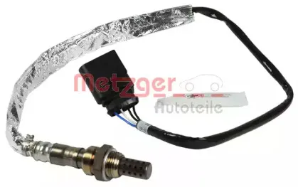 metzger-0893086