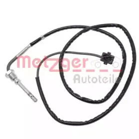 metzger-0894079