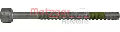 0899046 METZGER Болт, крепление форсунки