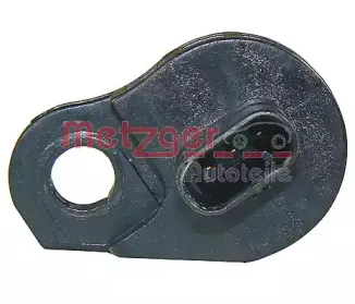 metzger-0901009