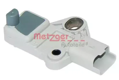metzger-0902159