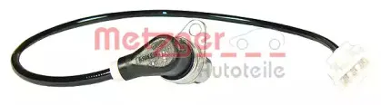 metzger-0902254