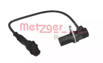 metzger-0903003