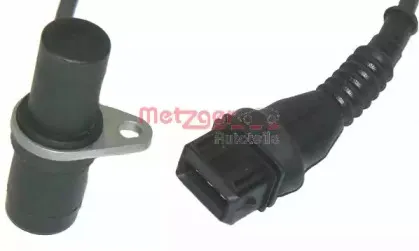 metzger-0903003