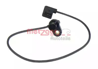 metzger-0903004