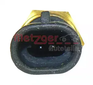 metzger-0905009