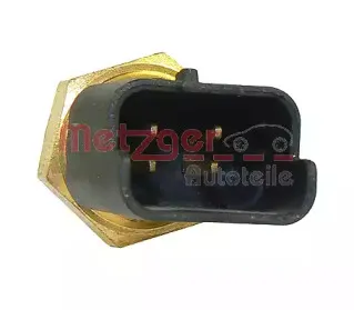 metzger-0905048