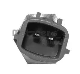 metzger-0905129