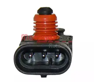 metzger-0906057