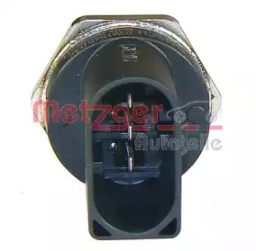 metzger-0906136