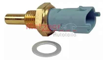 0905376 METZGER