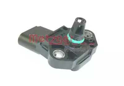 metzger-0906031