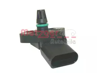 metzger-0906031