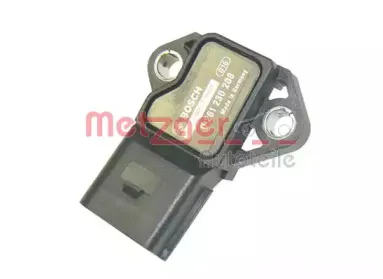 metzger-0906031