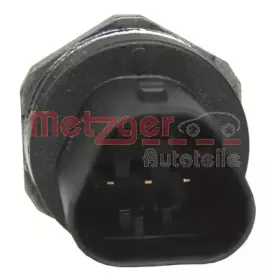 metzger-0906178