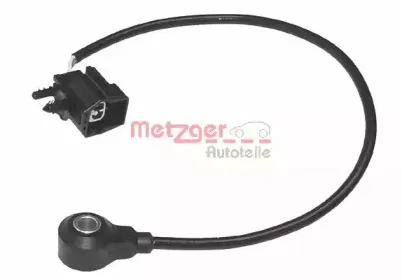 metzger-0907003