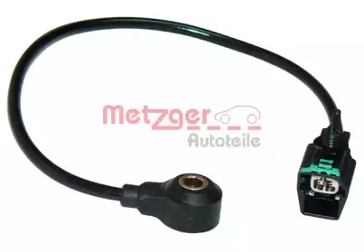 metzger-0907016