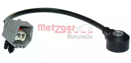 metzger-0907017