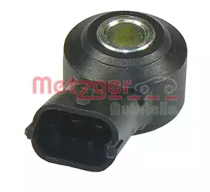 metzger-0907029