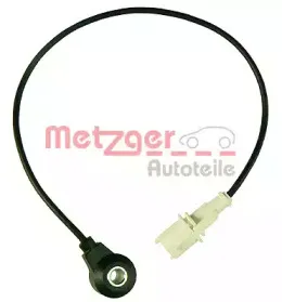 metzger-0907034