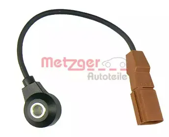 metzger-0907044