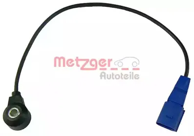 metzger-0907055