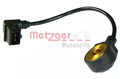 metzger-0907065