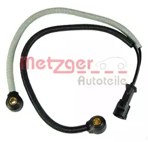metzger-0907070