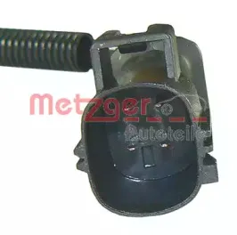 metzger-0907070