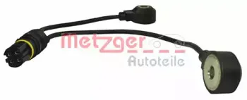 metzger-0907097