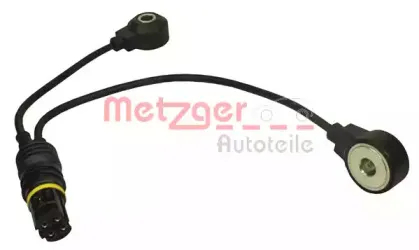 metzger-0907097