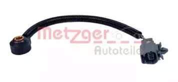metzger-0907102