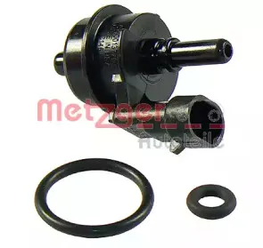metzger-0908050