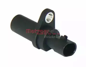 metzger-0909025