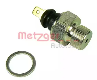 metzger-0910035