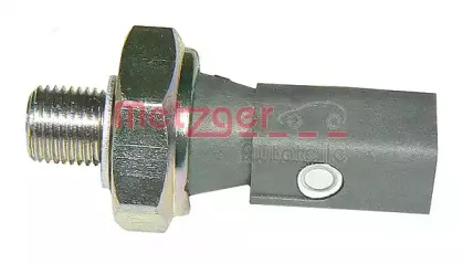 metzger-0910051