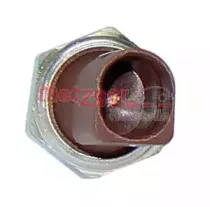 metzger-0910053