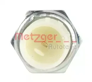 metzger-0910080