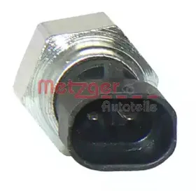 metzger-0912041