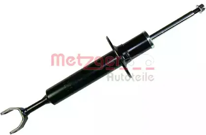 metzger-2340130