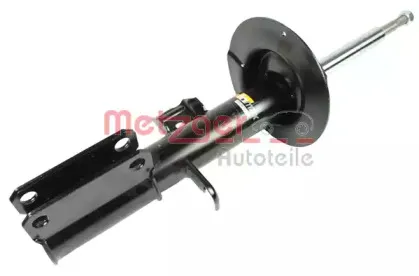 metzger-2340321