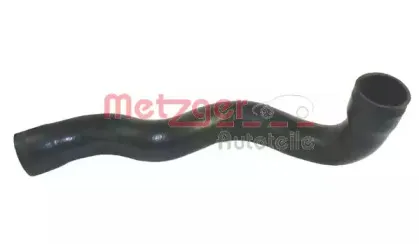 metzger-2400056