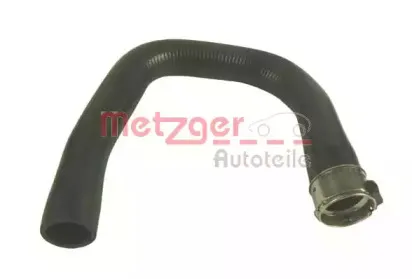 metzger-2400145