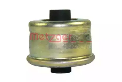 metzger-52011508